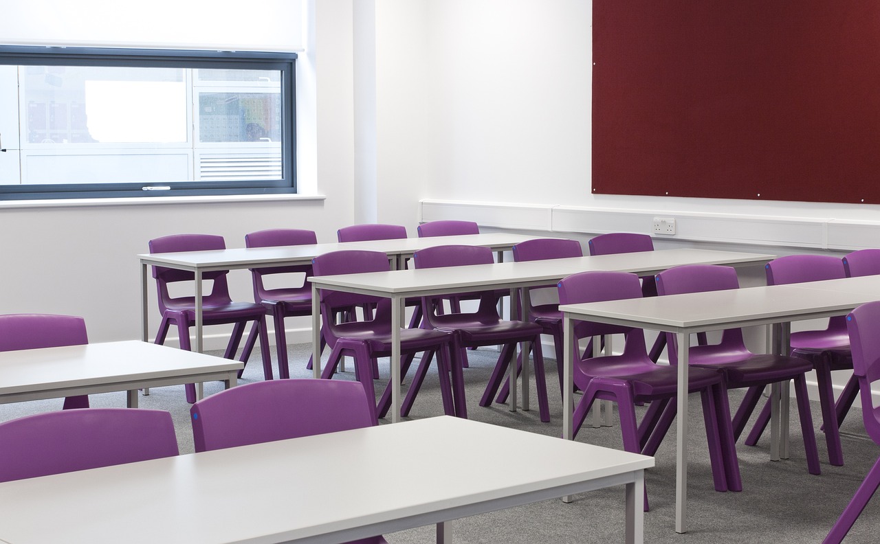 Se lancer en franchise de dératisation à Mulhouse : formation Certibiocide, financements et validation du business plan