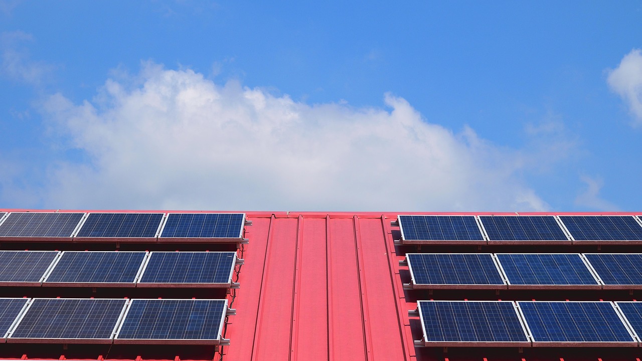 Photovoltaïque agricole : comment les éleveurs peuvent-ils s’inspirer du projet d’Equip’Elevage à Wormhout ?
