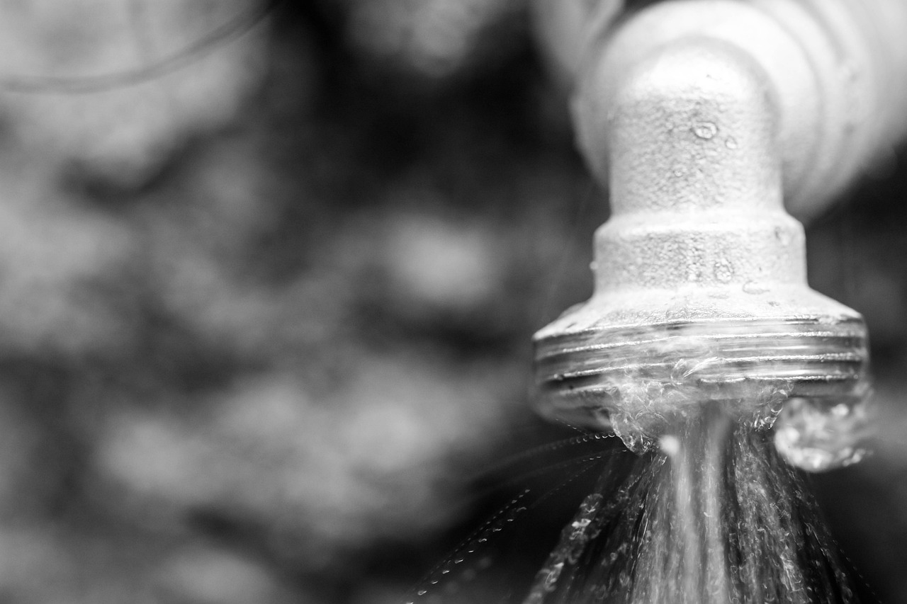 Fuites d’eau : quand et pourquoi faire appel à un plombier spécialisé en détection canine ?