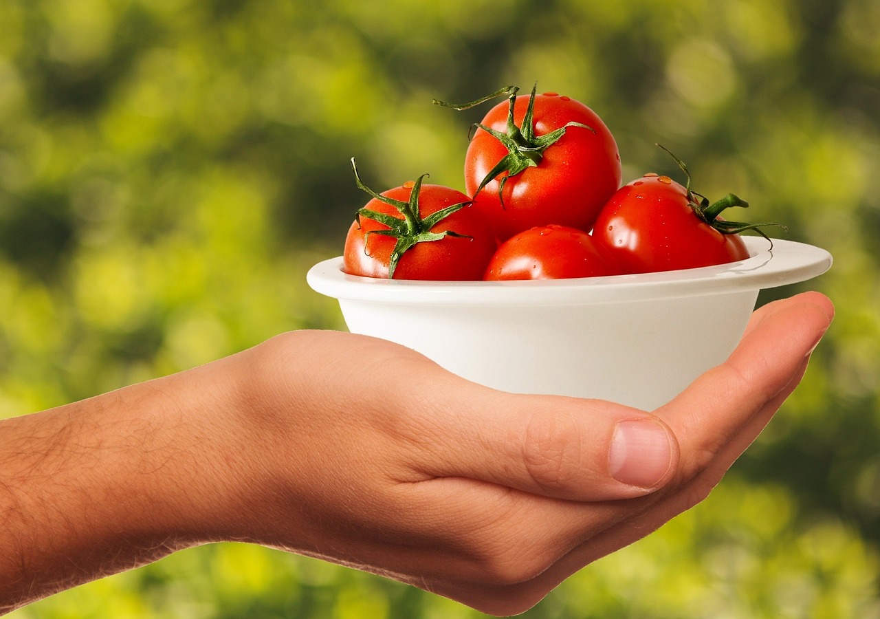 Repas à 1 € pour les étudiants : comment en bénéficier et quelles alternatives locales ?