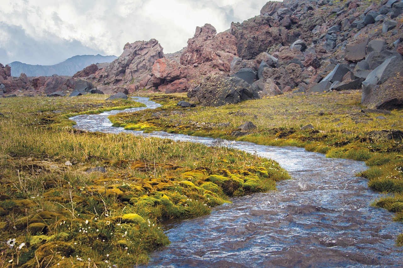 Festival Nature Ain : comment les professionnels du tourisme peuvent en profiter